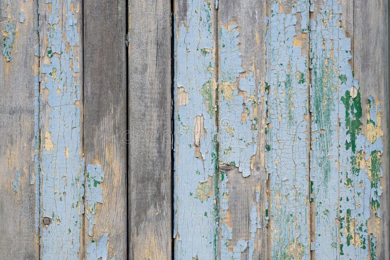 Wooden background with peeling dried blue paint. Old painted fence made of wooden boards royalty free stock photo